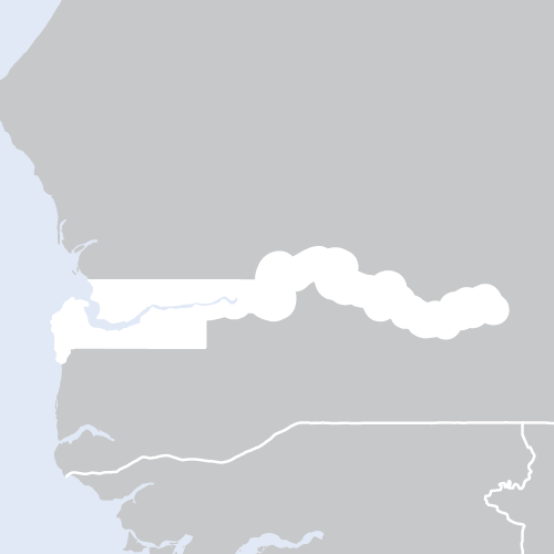 WHO and The Gambia Partner to Strengthen National Health Research Governance