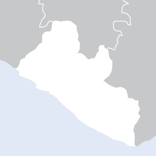WHO mission reviews preparedness and health system needs across five counties in Liberia