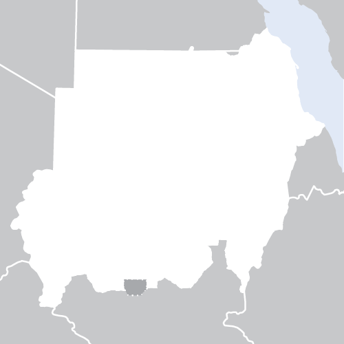 UNICEF: All Sudanese students must have equal opportunity to sit national exams wherever they are