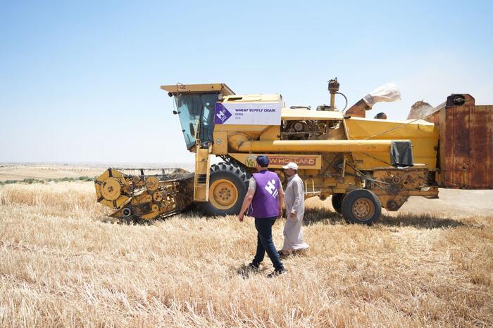 Human Appeal supports Syrian farmers through new wheat supply chain project