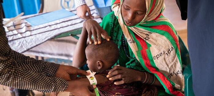Sudan: New FAO-WFP report warns worsening hunger puts 13 hotspots at significant risk | World Food Programme