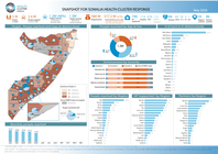 Snapshot for Somalia Health Cluster Response - May 2026