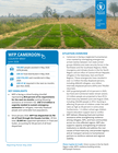 WFP Cameroon Country Brief, June 2026