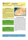 Algeria: Desert Locust Bulletin 573 (7 July 2026)