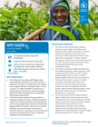 WFP Niger Country Brief, June 2026
