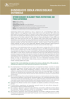 DR Congo: Bundibugyo Ebola Virus Disease (BVD) | Interim Guidance on Blanket Travel Restrictions and Public Gatherings