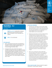 WFP Namibia Country Brief, June 2026