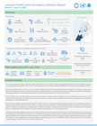 Lebanon Health Sector Emergency Situation Report Issue #15 - June 15, 2026