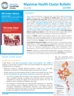 Myanmar Health Cluster Bulletin June 2026