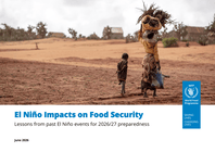 World: El Niño Impacts on Food Security: Lessons from past El Niño events for 2026/27 preparedness (June 2026)